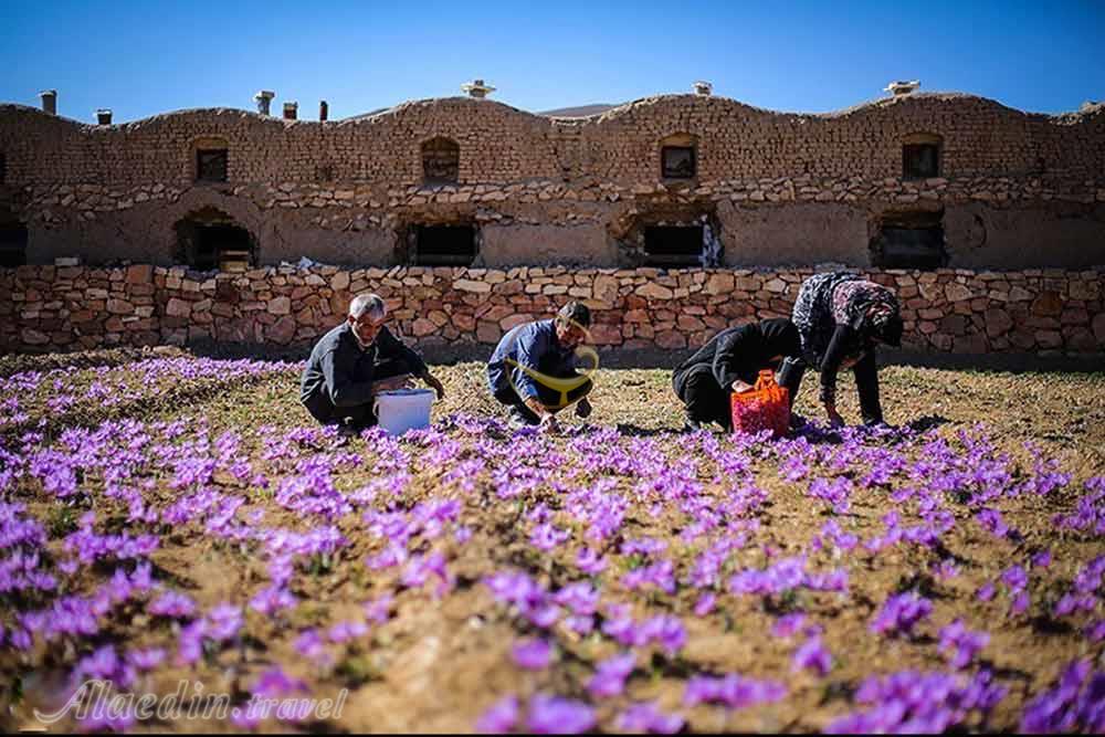 روستای علوی اردهال در کاشان | علاءالدین تراول