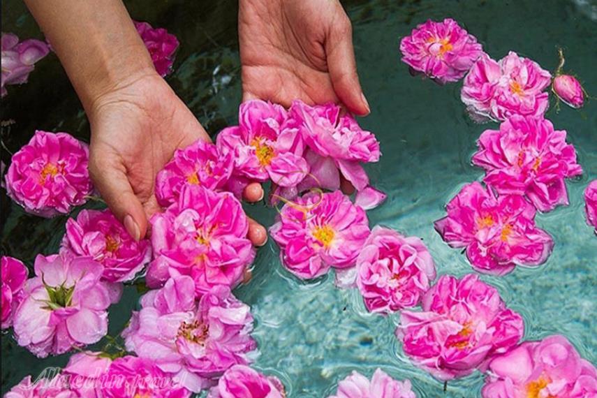 سد قمصر در کاشان | علاءالدین تراول