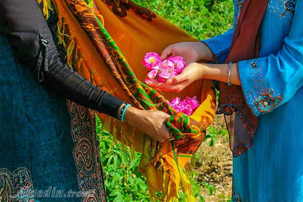 قمصر کاشان | علاءالدین تراول