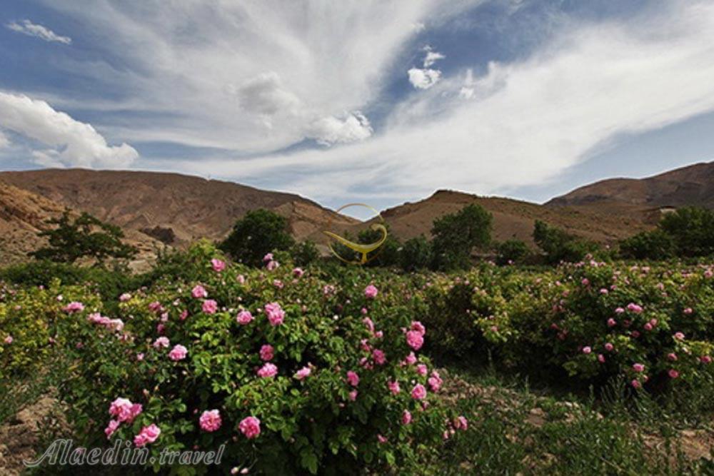 قمصر کاشان | علاءالدین تراول