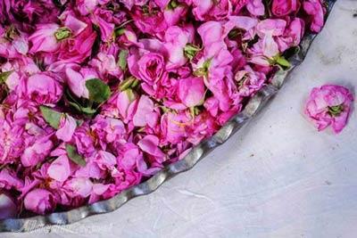 موزه گلاب قمصر در کاشان