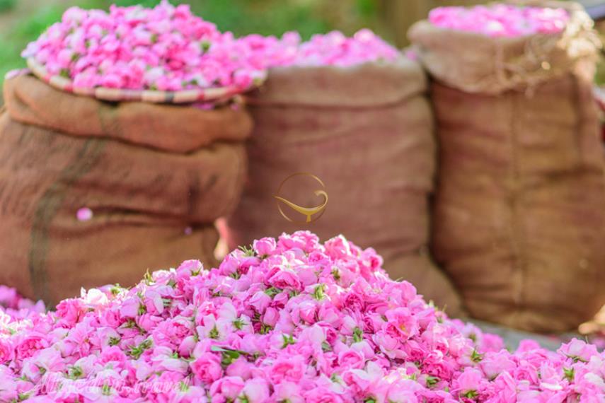 چشمه آب صالح قمصر در کاشان