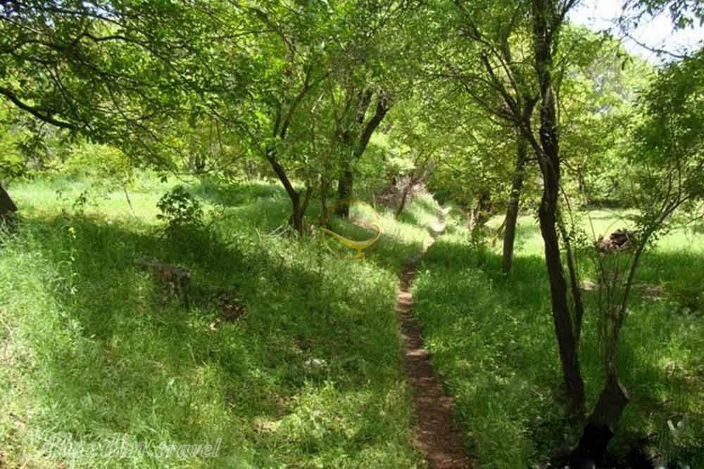 روستای ون در کاشان | علاءالدین تراول