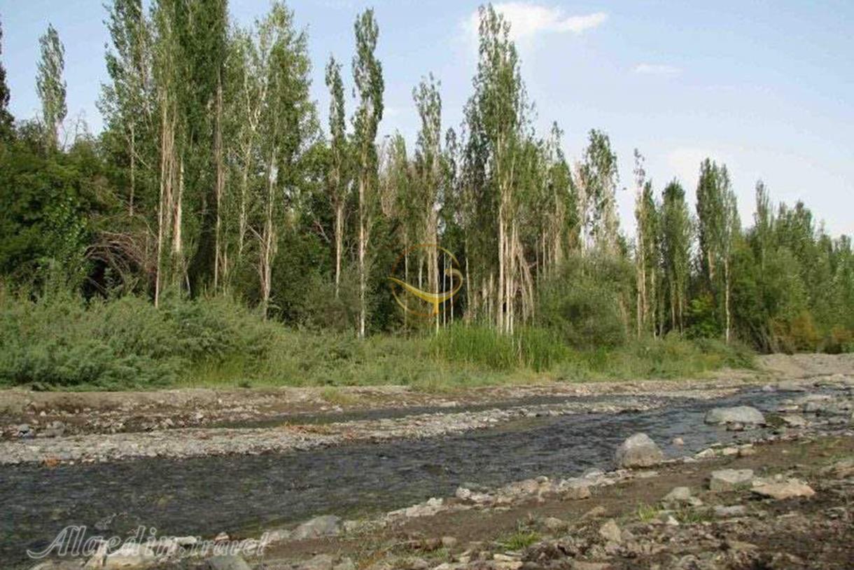 روستای نامق کاشمر | علاءالدین تراول