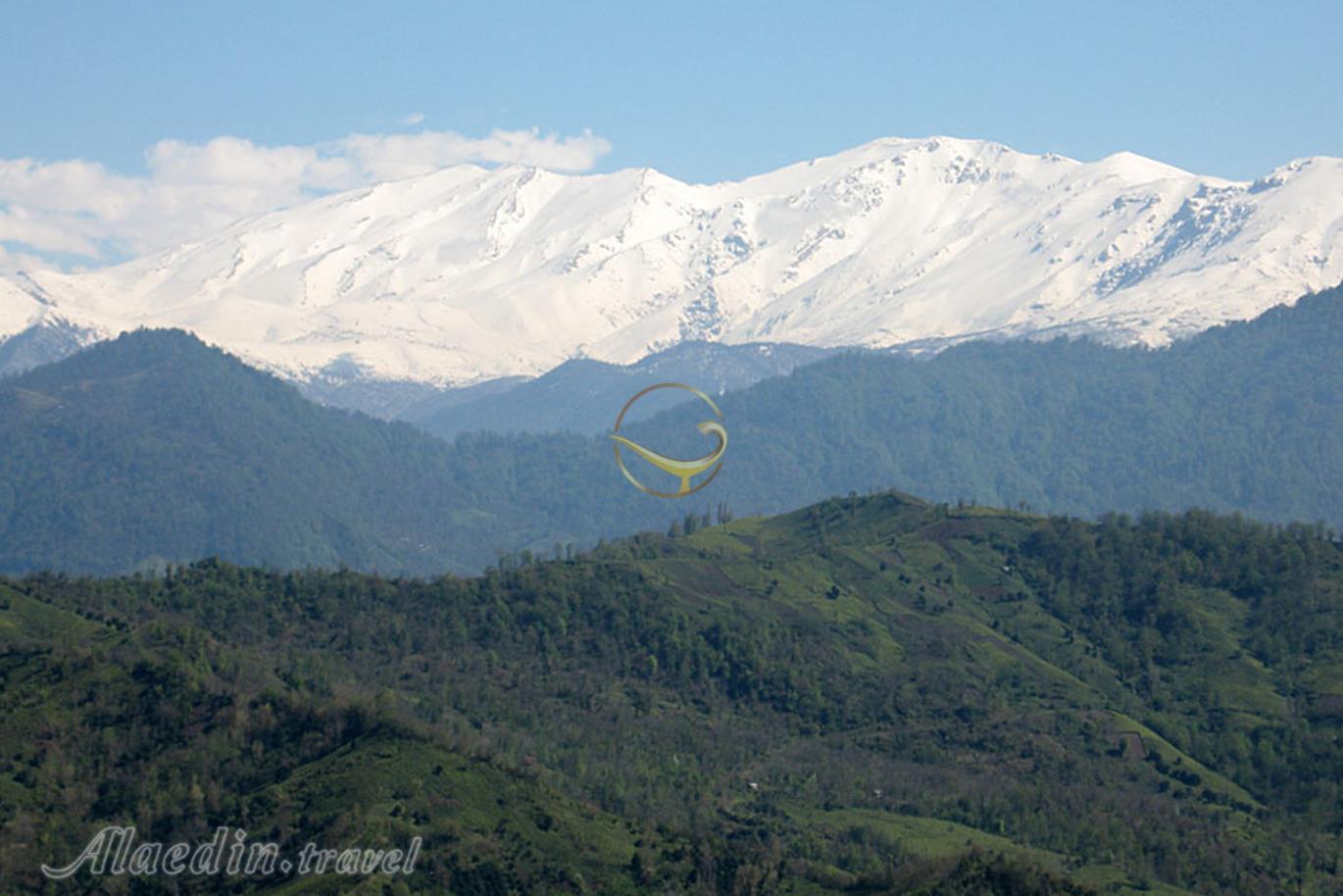 سماموس کلاچای گیلان | علاءالدین تراول