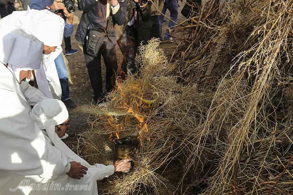 باغچه بداغ آباد در کرمان | علاءالدین تراول