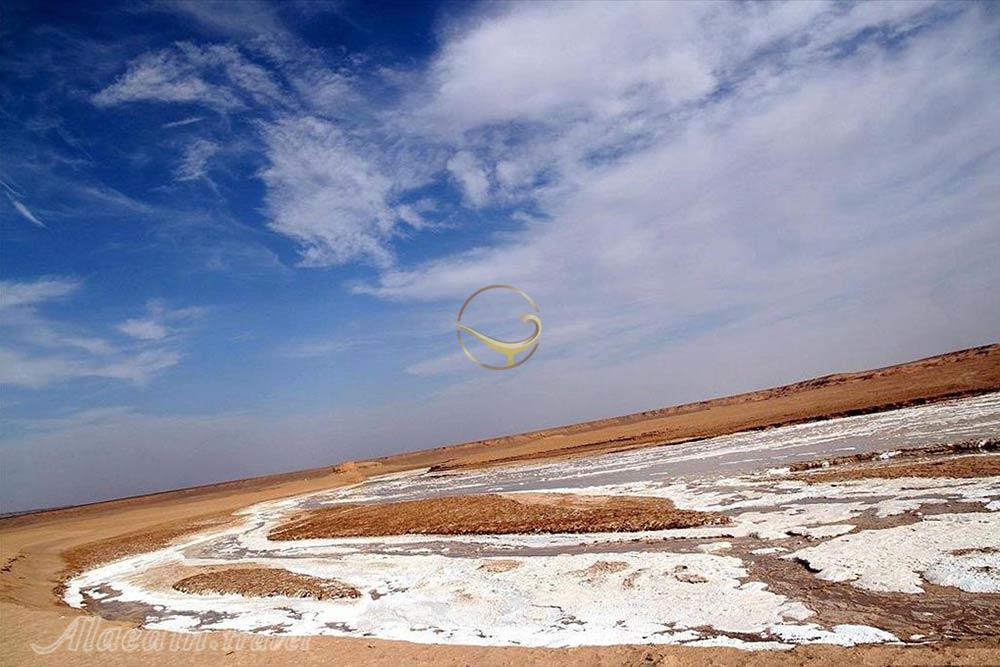 دشت گندم بریان (ریگ سوخته) در کرمان | علاءالدین تراول