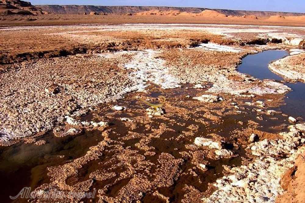 دشت گندم بریان (ریگ سوخته) در کرمان | علاءالدین تراول