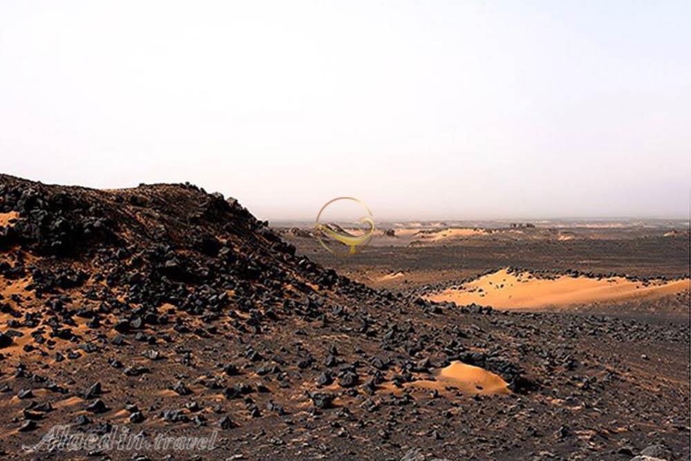 دشت گندم بریان (ریگ سوخته) در کرمان | علاءالدین تراول