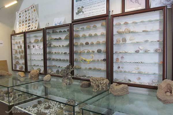 موزه دیرین شناسی در کرمان