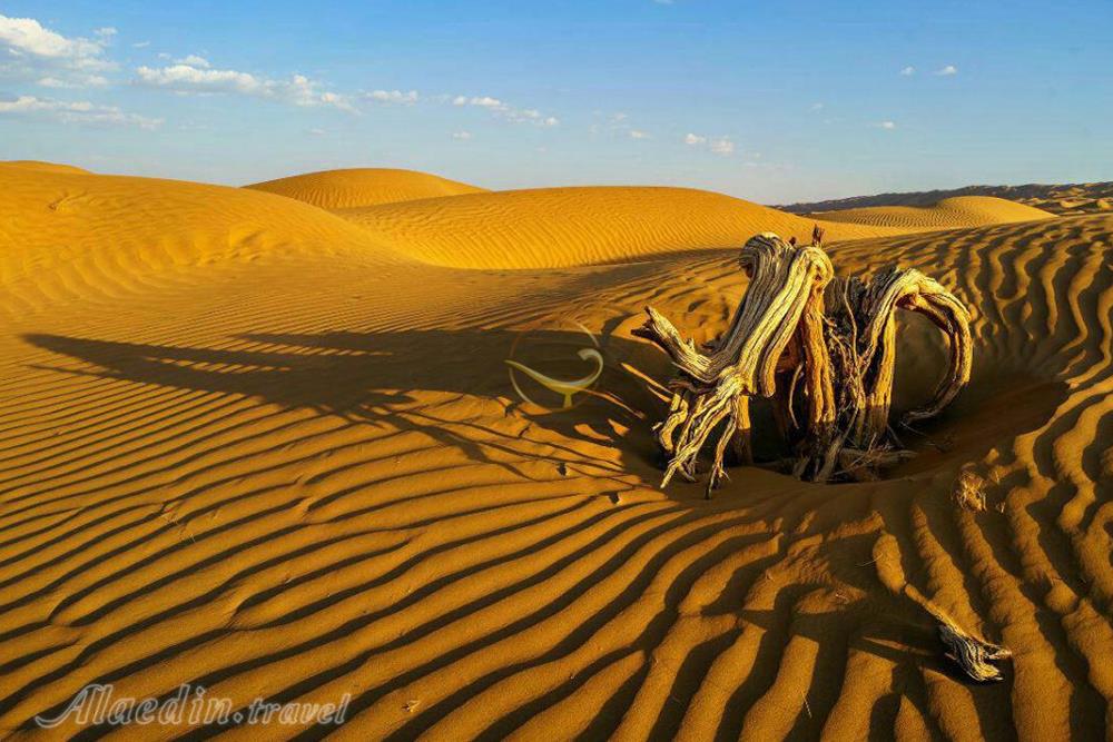 دشت لوت در کرمان | علاءالدین تراول