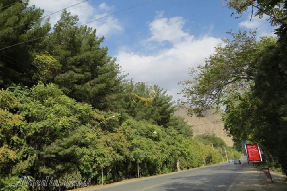 جنگل پردیسان قائم در کرمان | علاءالدین تراول