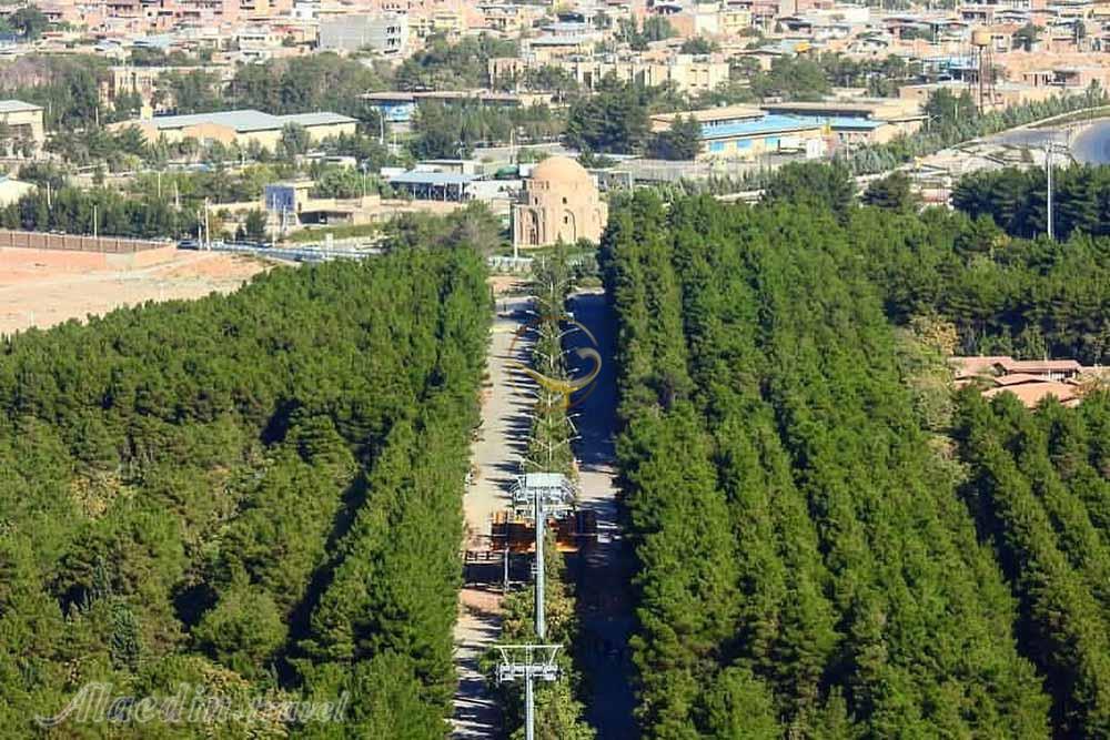 جنگل پردیسان قائم در کرمان | علاءالدین تراول