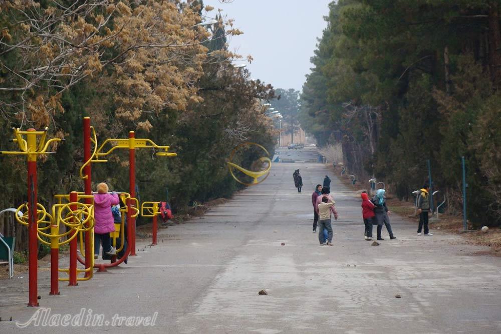 جنگل پردیسان قائم در کرمان | علاءالدین تراول