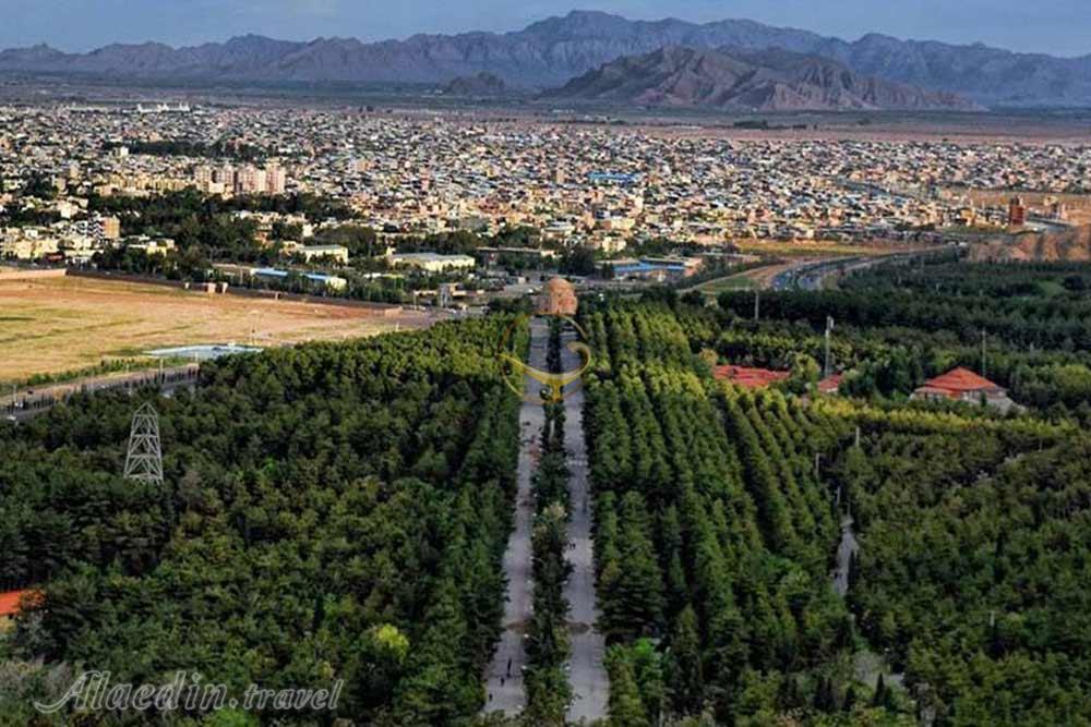 جنگل پردیسان قائم در کرمان | علاءالدین تراول