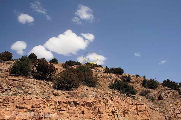 منطقه حفاظت شده سعدی در کرمان