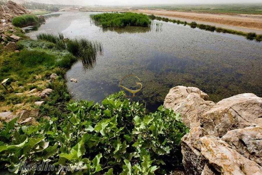 تالاب هشیلان کرمانشاه | علاءالدین تراول