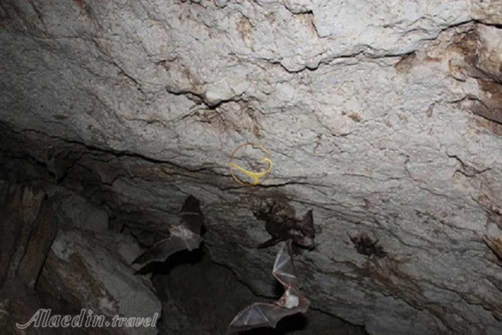 غار وایقان خداآفرین | علاءالدین تراول