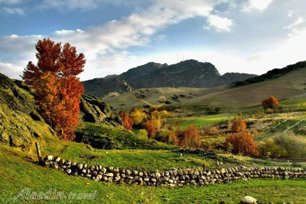 پارک جنگلی مخمل کوه خرم آباد | علاءالدین تراول