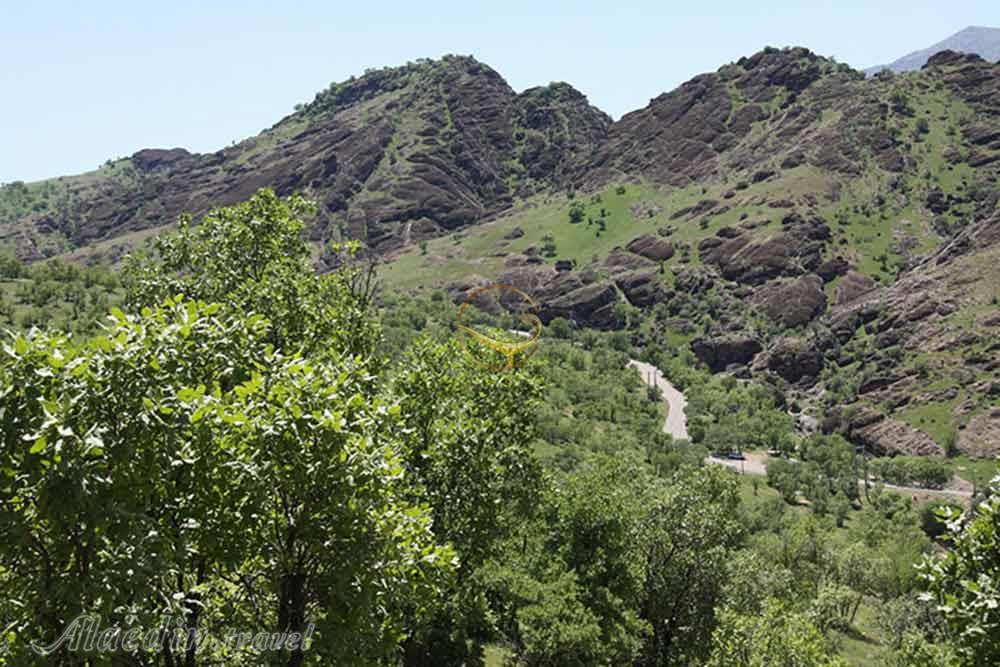 پارک جنگلی مخمل کوه خرم آباد | علاءالدین تراول