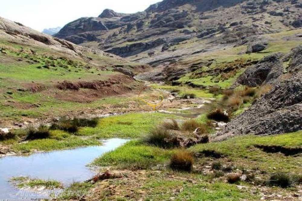 پارک جنگلی مخمل کوه خرم آباد | علاءالدین تراول