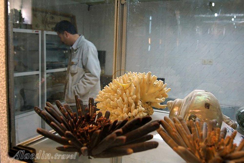 موزه حیات وحش لرستان در خرم آباد | علاءالدین تراول