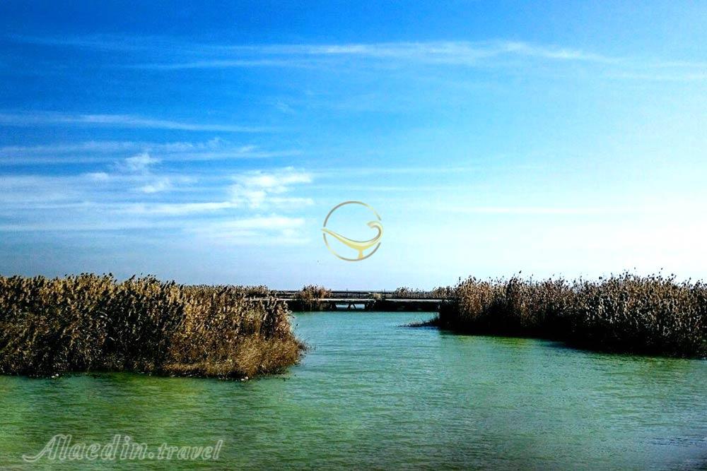 تالاب ناصری خرمشهر | علاءالدین تراول