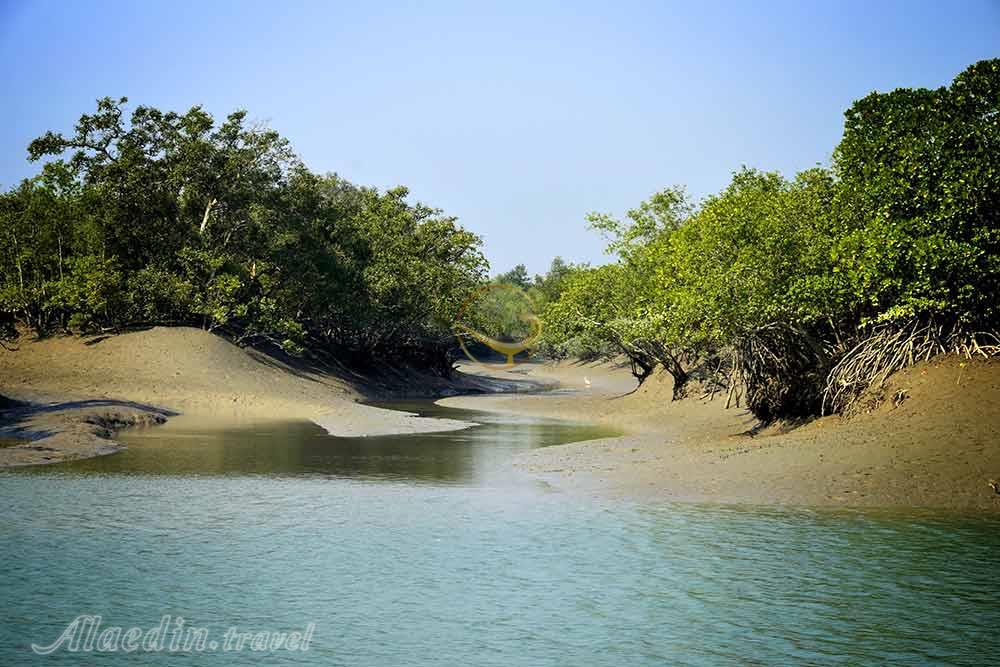 جنگل سونداربانس در خولنا | علاءالدین تراول