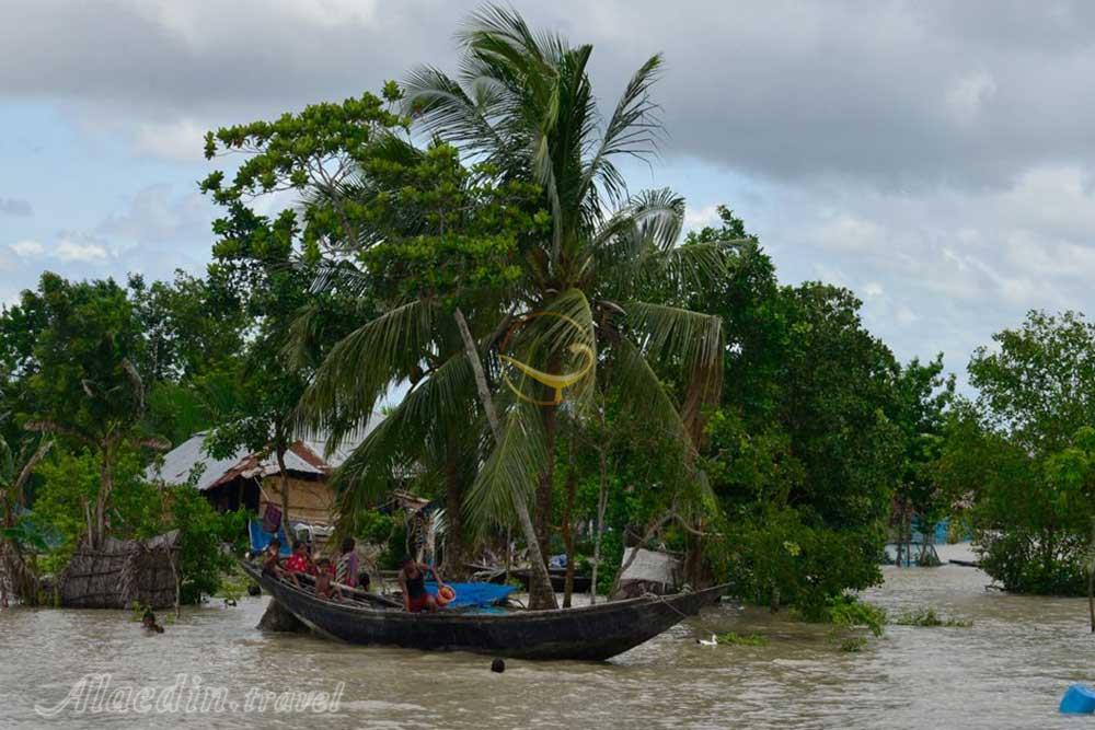 جنگل سونداربانس در خولنا | علاءالدین تراول