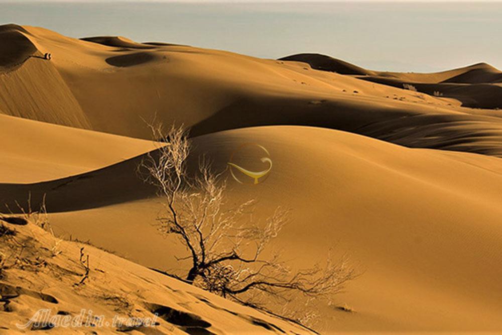 کویر مصر خور و بیابانک | علاءالدین تراول