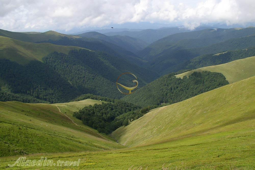 کوه های کارپات کی یف | علاءالدین تراول