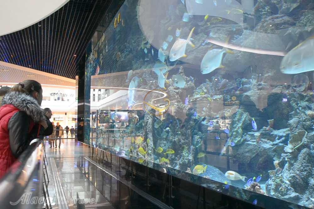 مرکز خرید اوشن پلازا کی یف | علاءالدین تراول