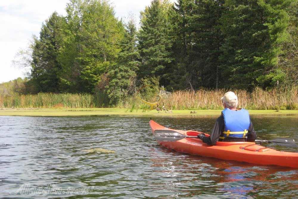 منطقه حفاظت شده مارشلندز در کینگستون - کانادا | علاءالدین تراول