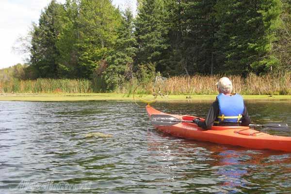 منطقه حفاظت شده مارشلندز در کینگستون - کانادا