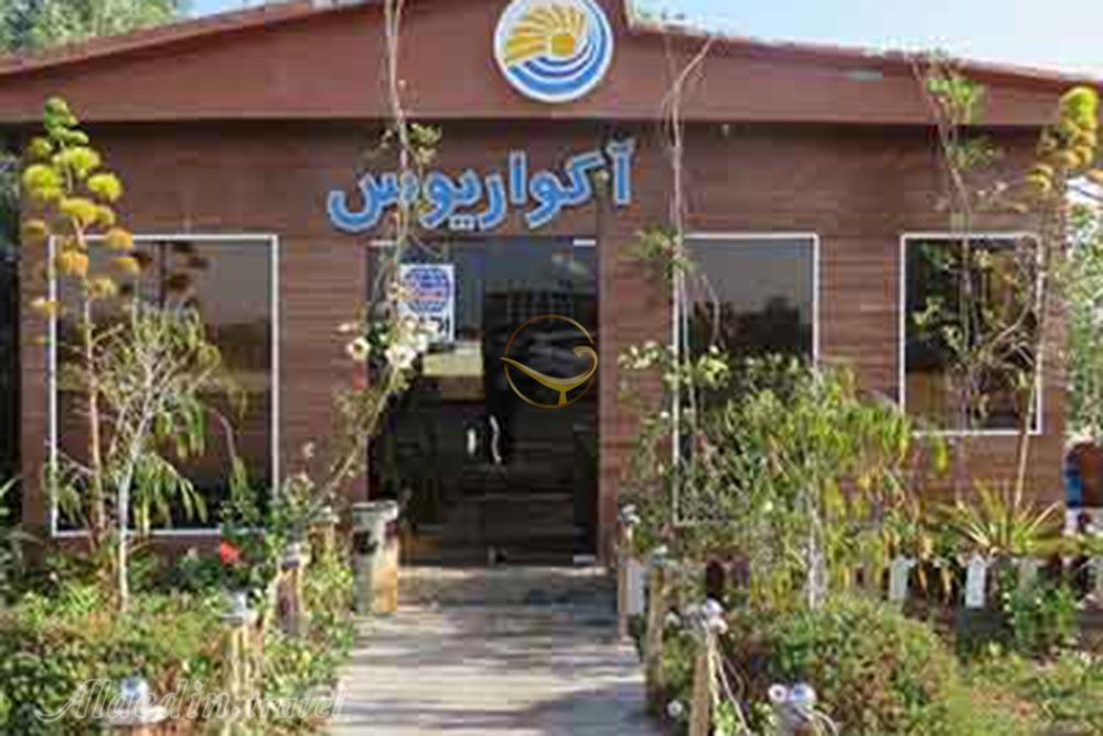 کلوپ دریایی آکواریوس کیش | علاءالدین تراول