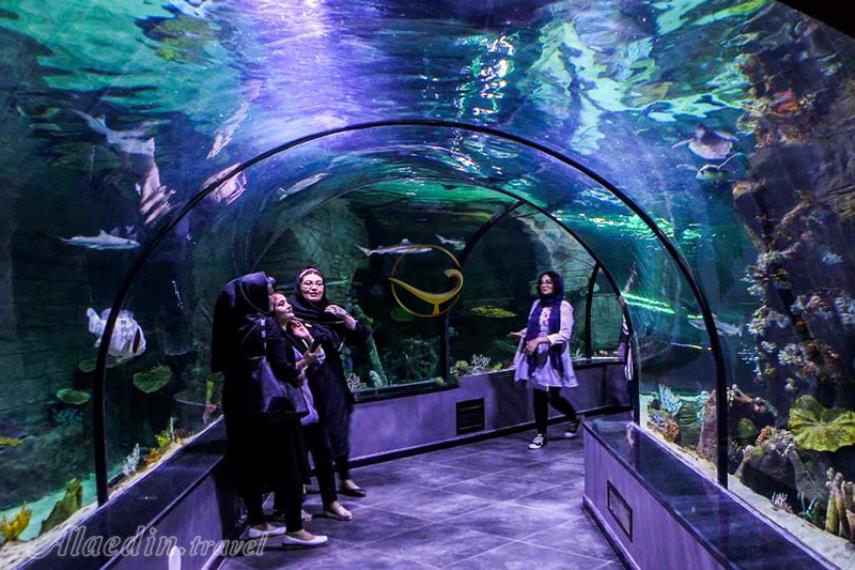 آکواریوم کیش