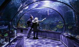 آکواریوم کیش