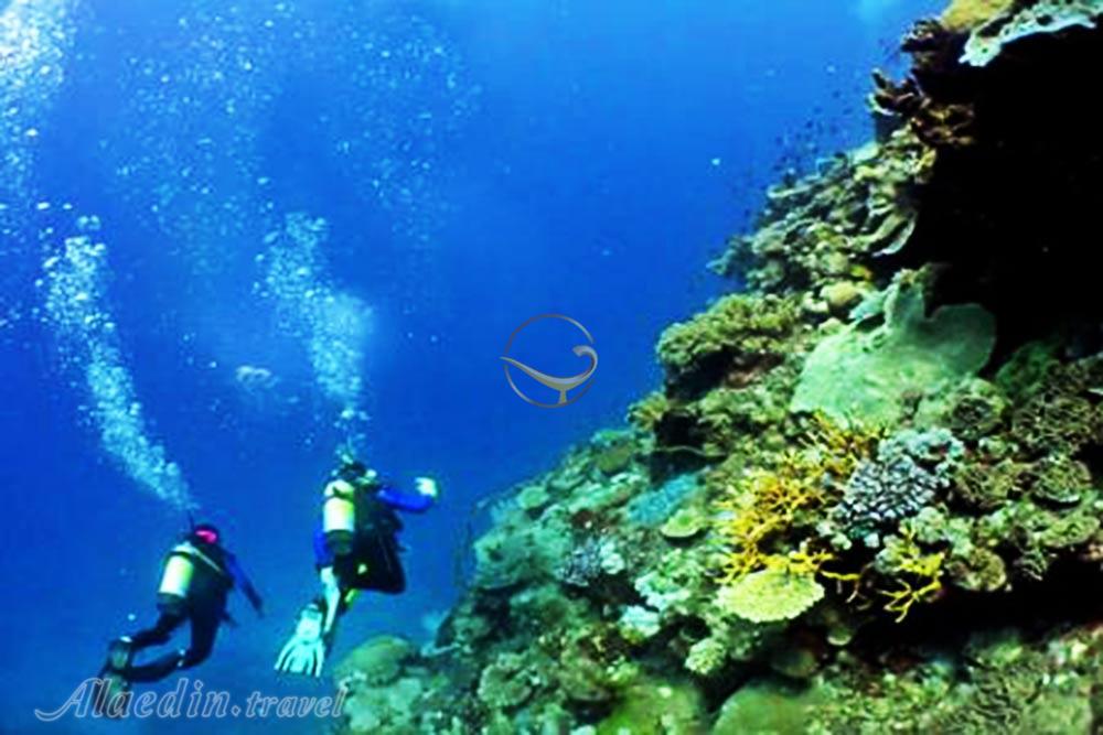 مرکز غواصی کیش | علاءالدین تراول