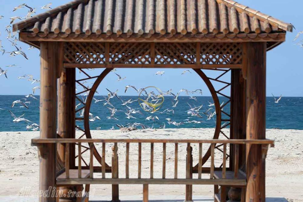 کلبه هور کیش | علاءالدین تراول