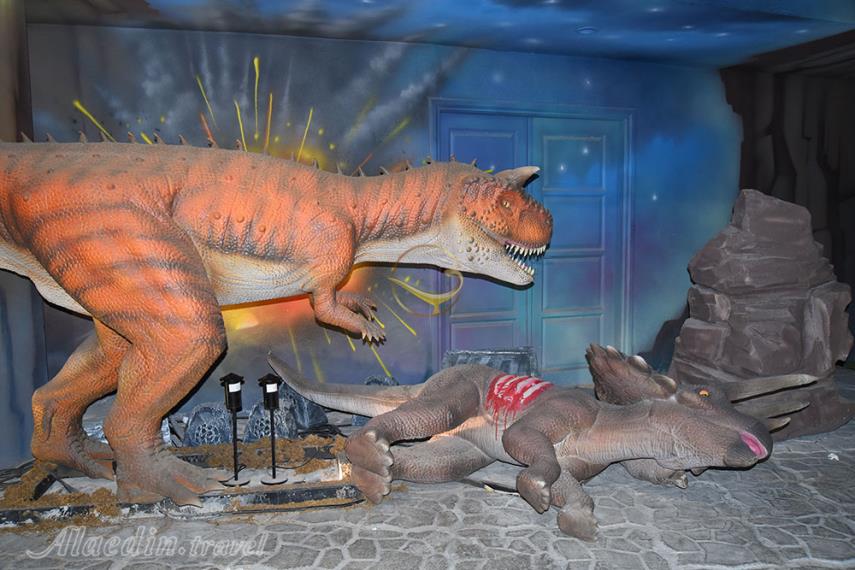 مجیک پارک کیش | علاءالدین تراول