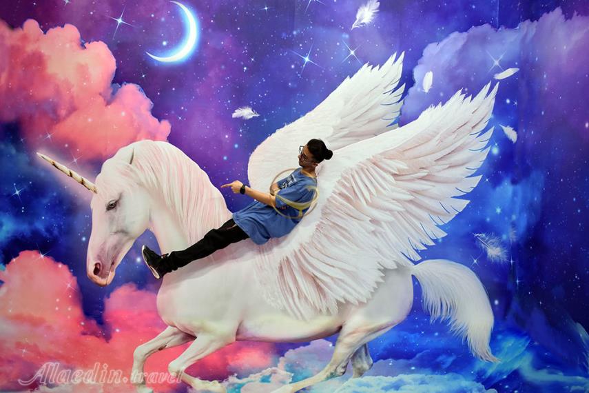 مجیک پارک کیش | علاءالدین تراول