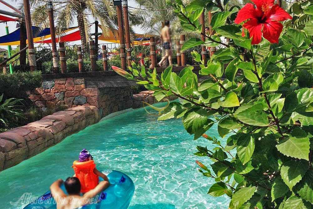 تم پارک آبی اوشن کیش | علاءالدین تراول