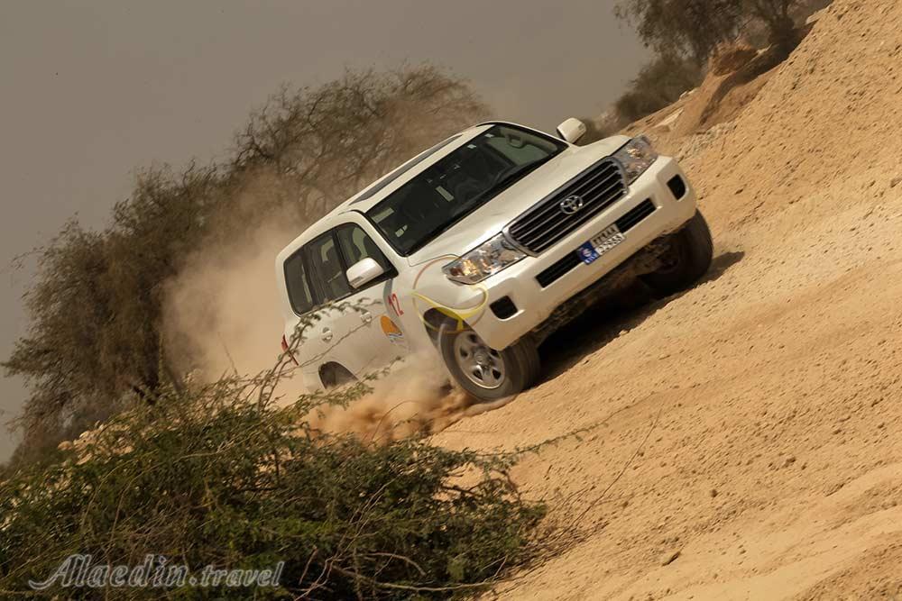 پارس سافاری کیش | علاءالدین تراول