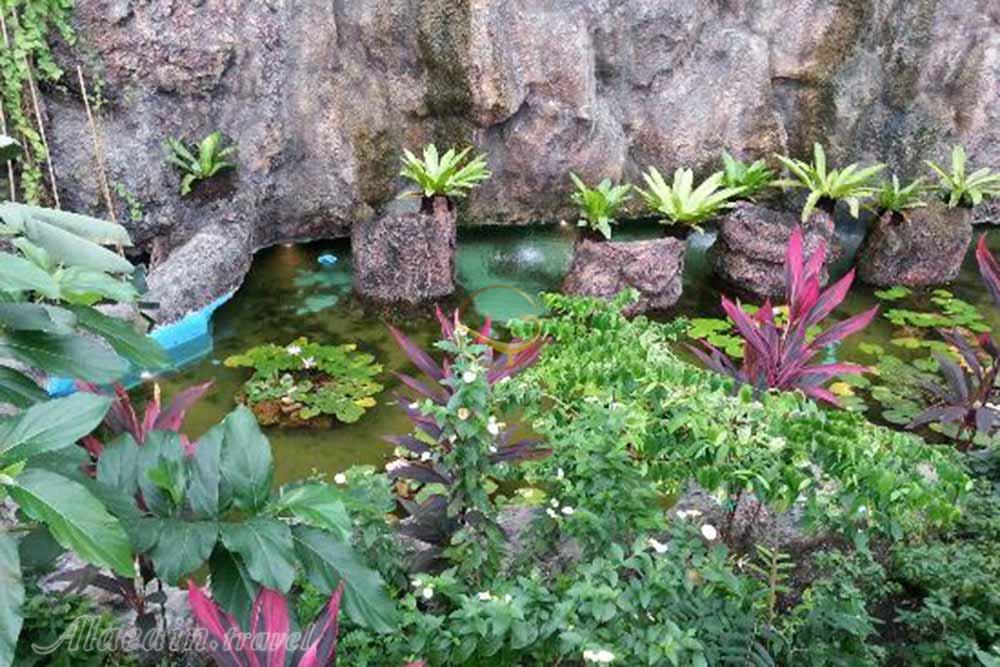 باغ پروانگان قونیه در ترکیه | علاءالدین تراول