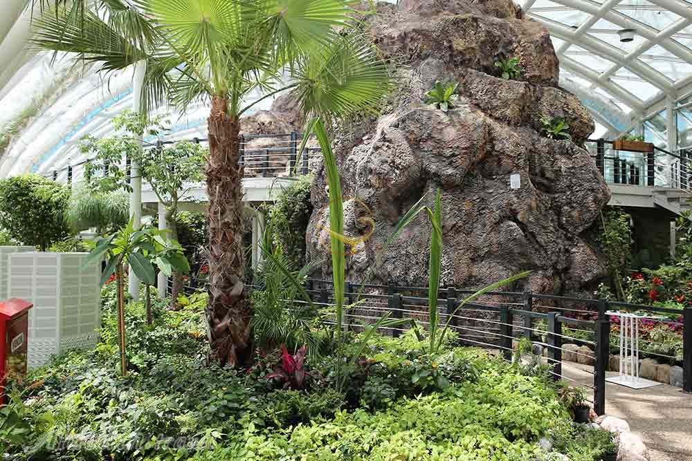 باغ پروانگان قونیه در ترکیه | علاءالدین تراول