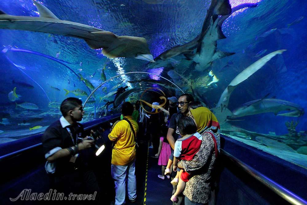 آکواریوم کوالالامپور در مالزی | علاءالدین تراول