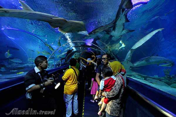 آکواریوم کوالالامپور در مالزی