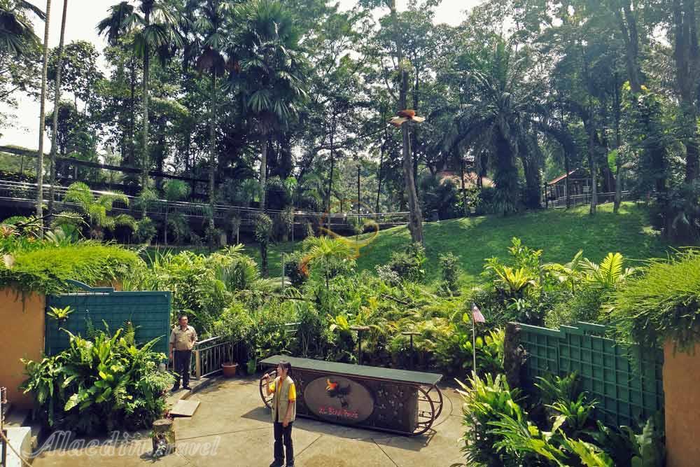 باغ پرندگان کوالالامپور در مالزی | علاءالدین تراول