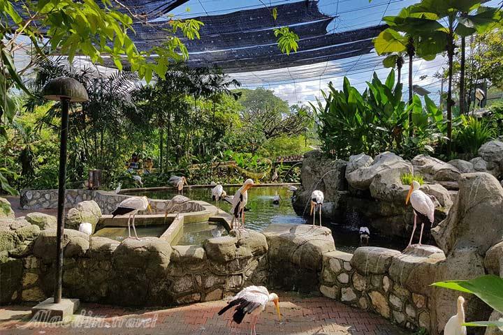 باغ پرندگان کوالالامپور در مالزی | علاءالدین تراول