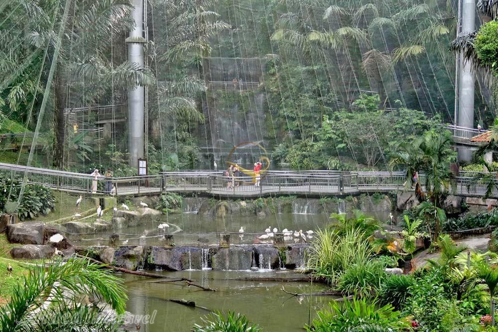 باغ پرندگان کوالالامپور در مالزی | علاءالدین تراول